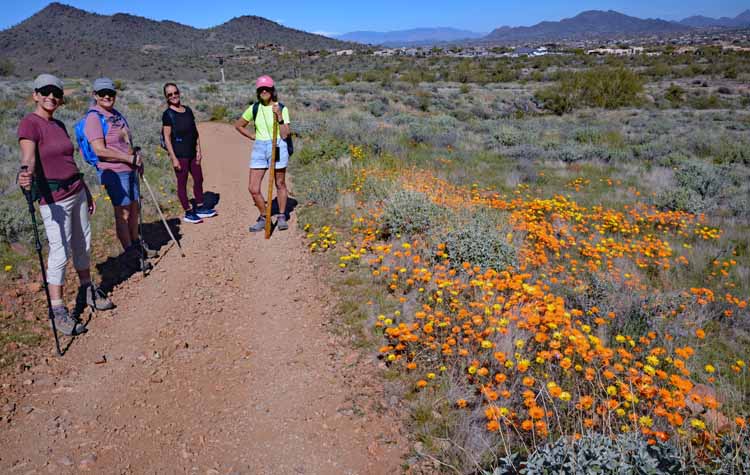 hikers